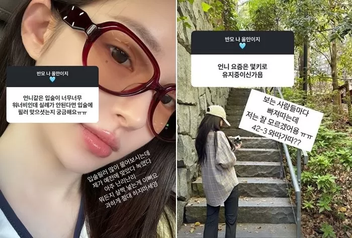인사이트