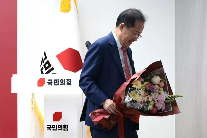 인사이트