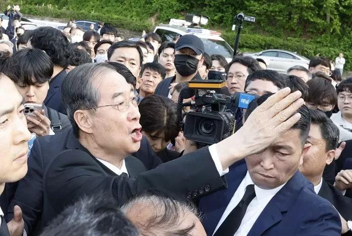 인사이트