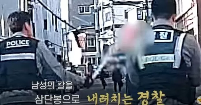 인사이트