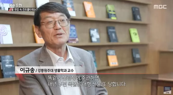인사이트