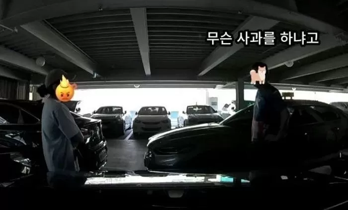 인사이트