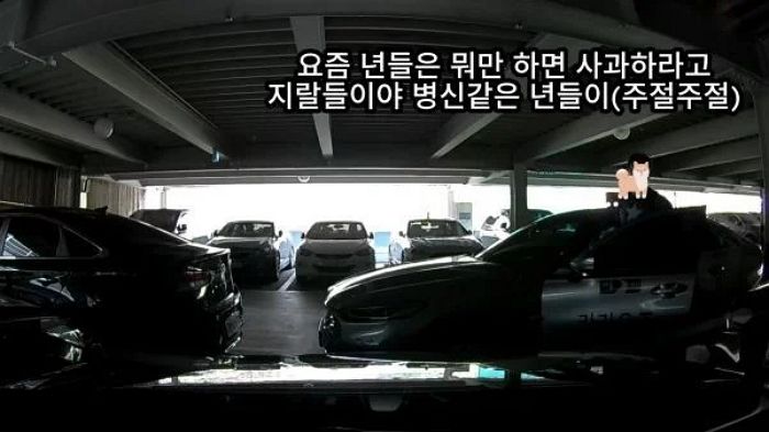 이중 주차해 길막한 택시기사, 여성 차주에 “병X 같은, 어린 X” 욕설... 당시 상황 보니