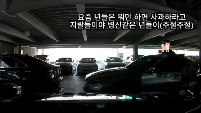 인사이트
