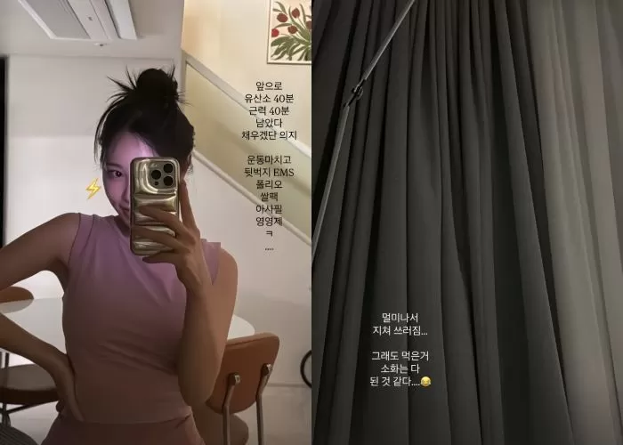 인사이트