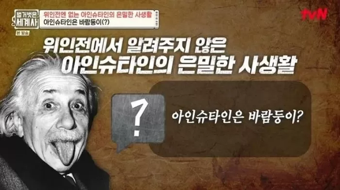 인사이트