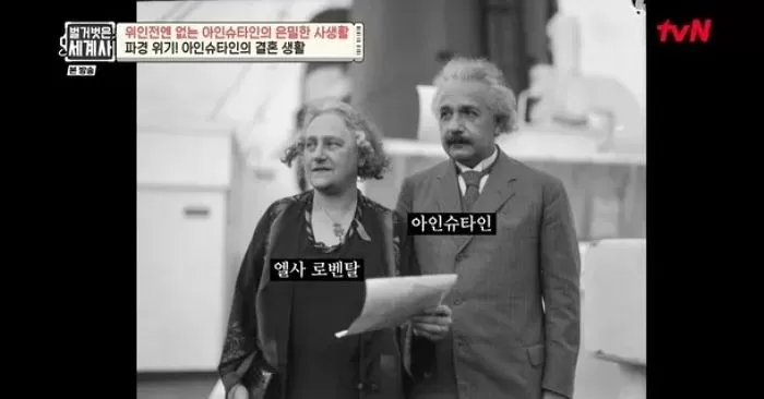 인사이트