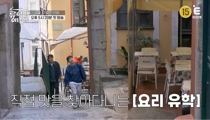인사이트