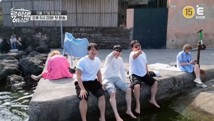 인사이트