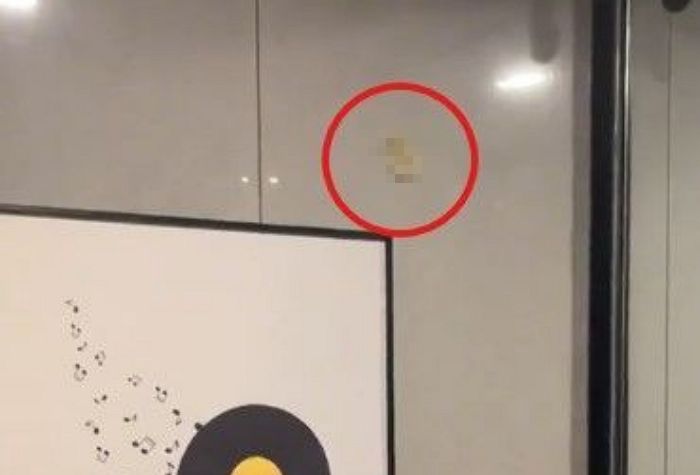 “호텔 벽에 콘돔이 붙어있더라”... 中여성의 폭로에 충격