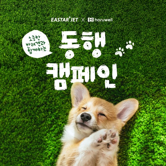 “우리도 가족이다, 멍!” 이스타항공, 반려견 동반 여행 캠페인