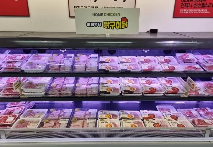 인사이트