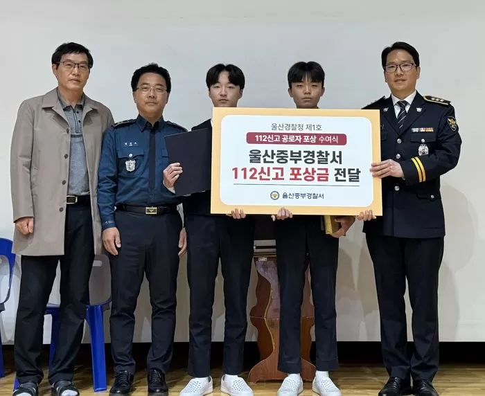 인사이트