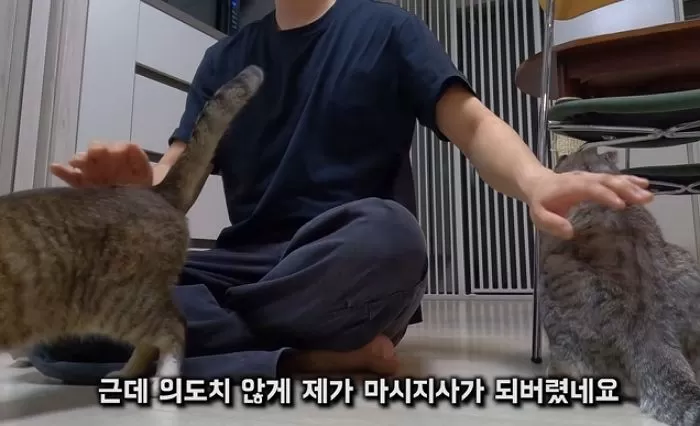 인사이트
