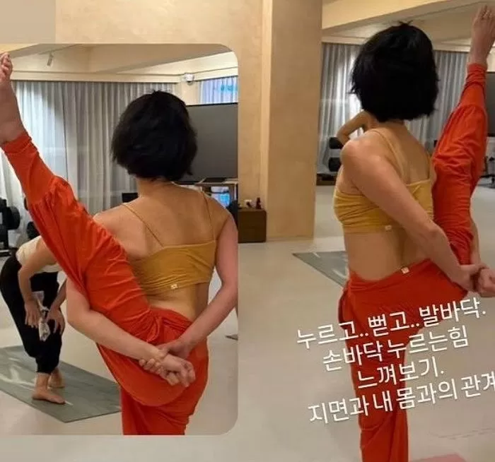 인사이트