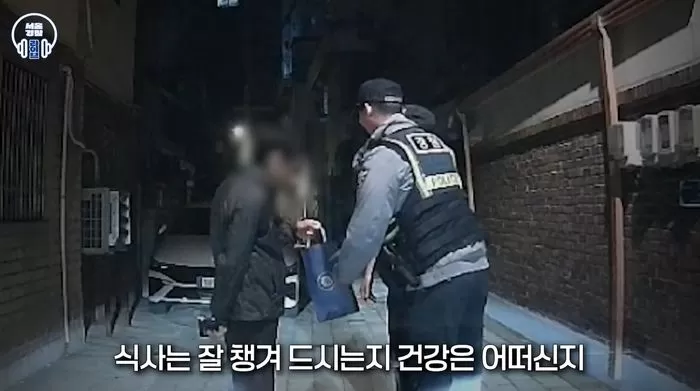 인사이트