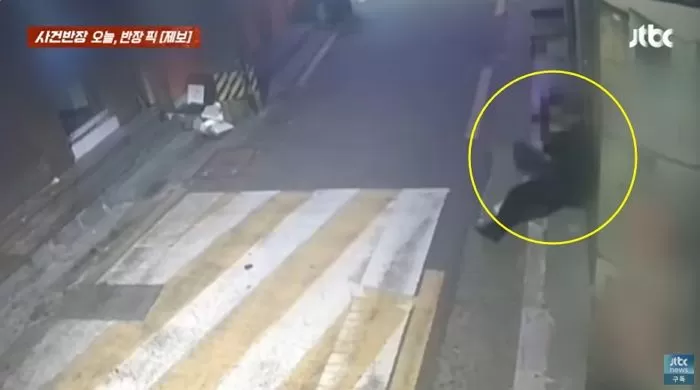 인사이트