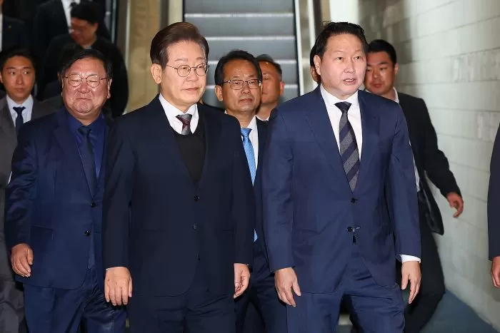 인사이트