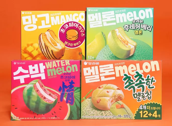 인사이트