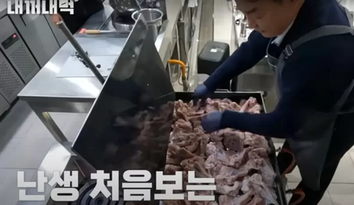 인사이트