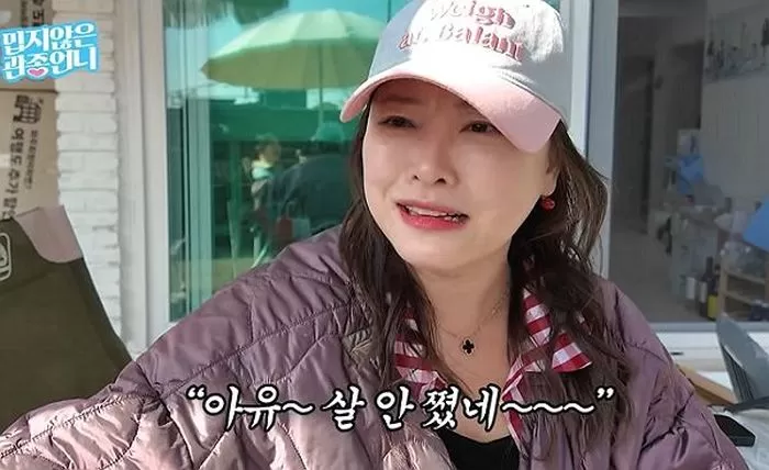 인사이트