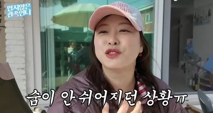 인사이트