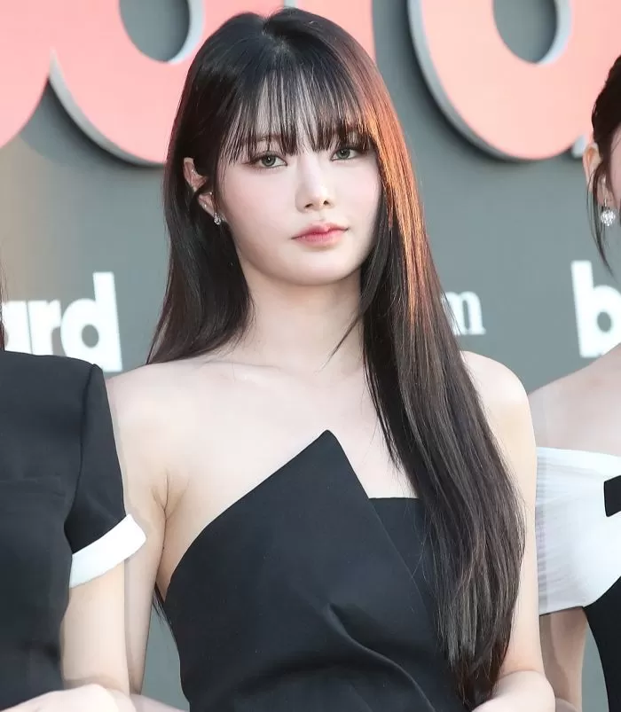 뉴스1