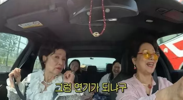 인사이트
