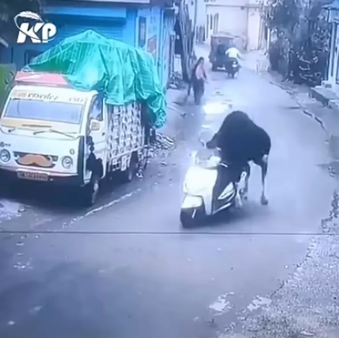 인사이트