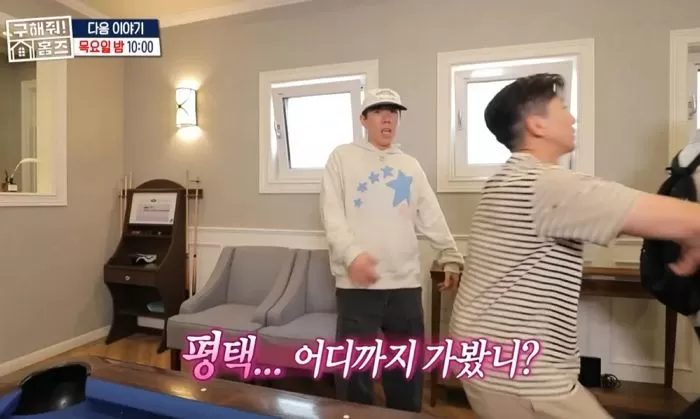 인사이트