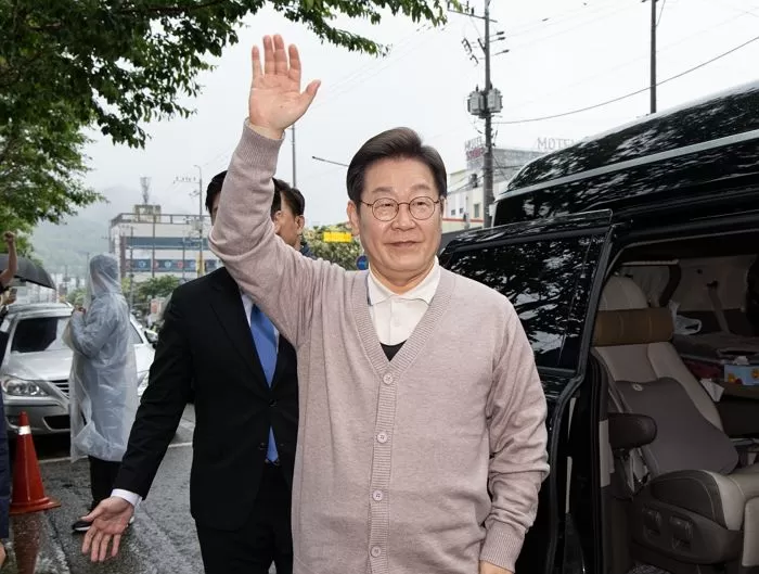 인사이트