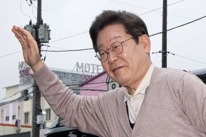 인사이트