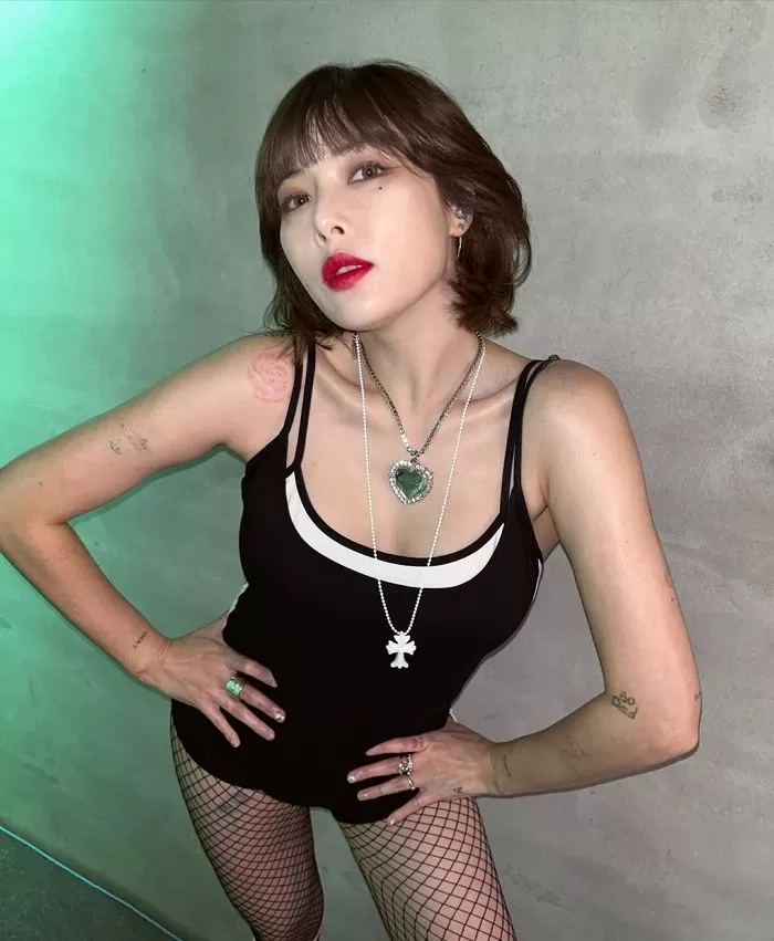 인사이트