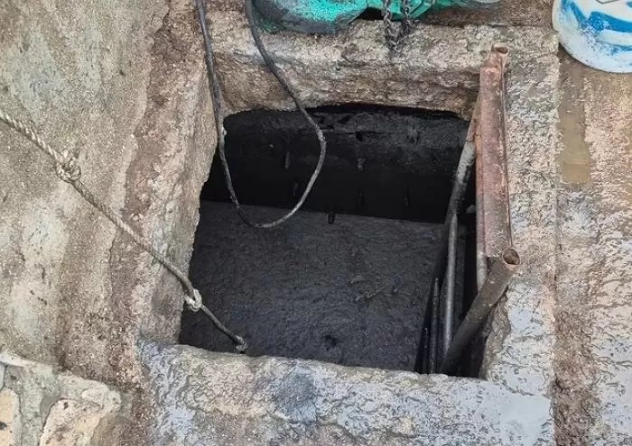 인사이트