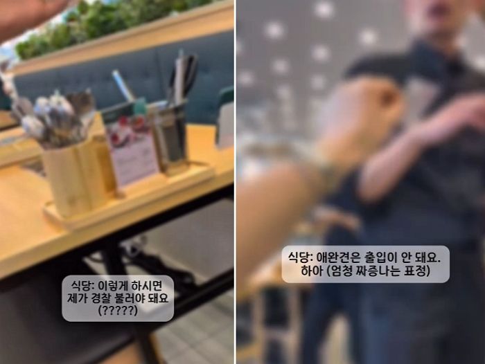 ‘보조견’ 데리고 식당 갔다가 쫓겨난 청각장애인... 법 모르는 경찰은 식당 주인 두둔