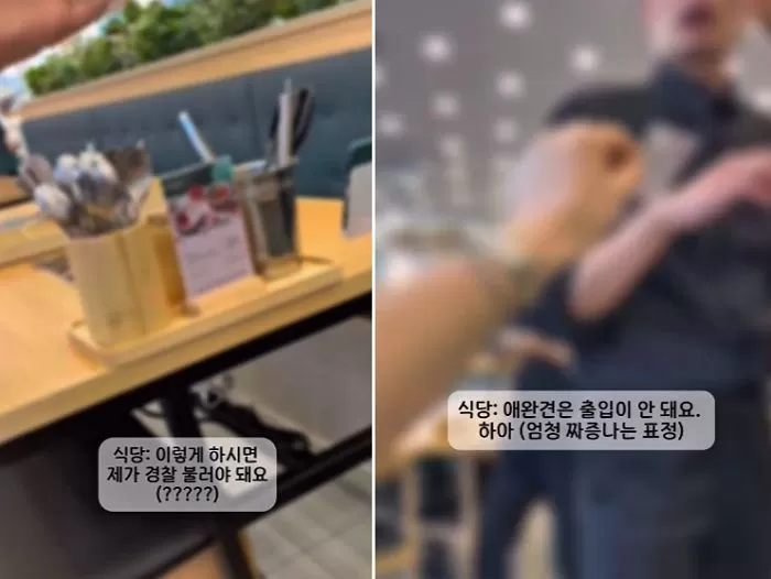 인사이트