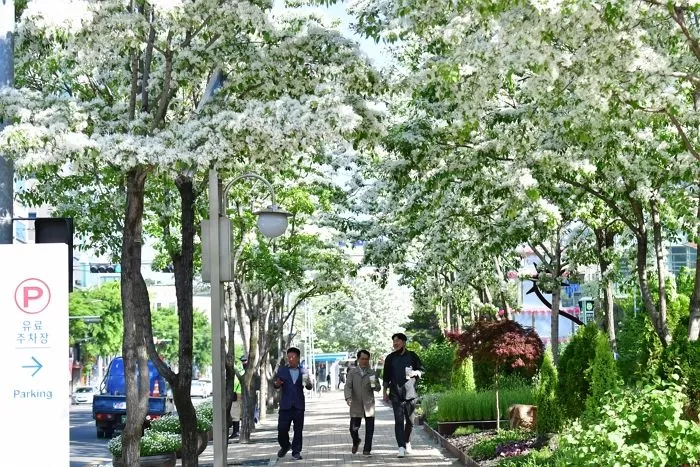 인사이트