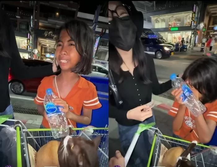 인사이트