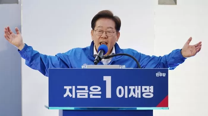 인사이트