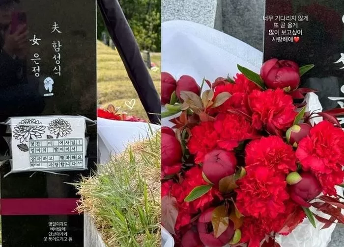 인사이트