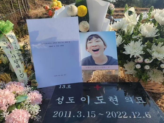 인사이트