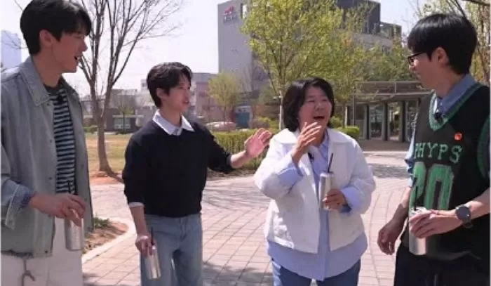 인사이트
