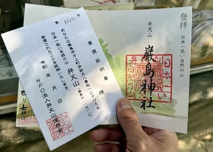 인사이트