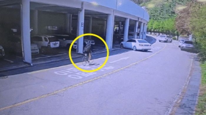 앞도 안 보고 달리다 차 ‘옆치기’ 해버린 ‘자라니’... 차주는 그저 날벼락 (영상)