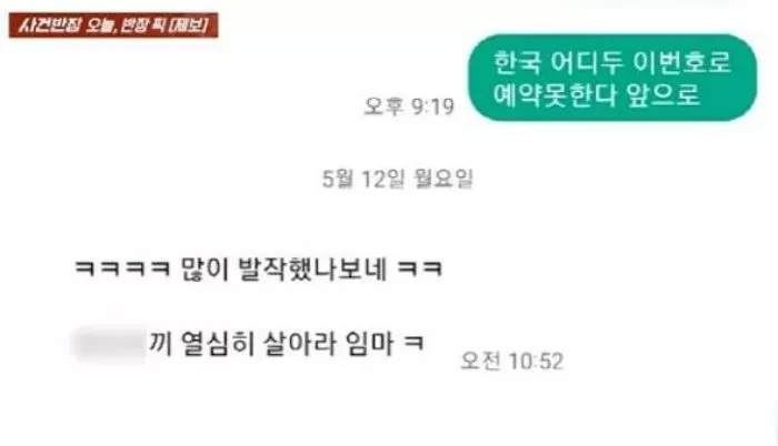 인사이트