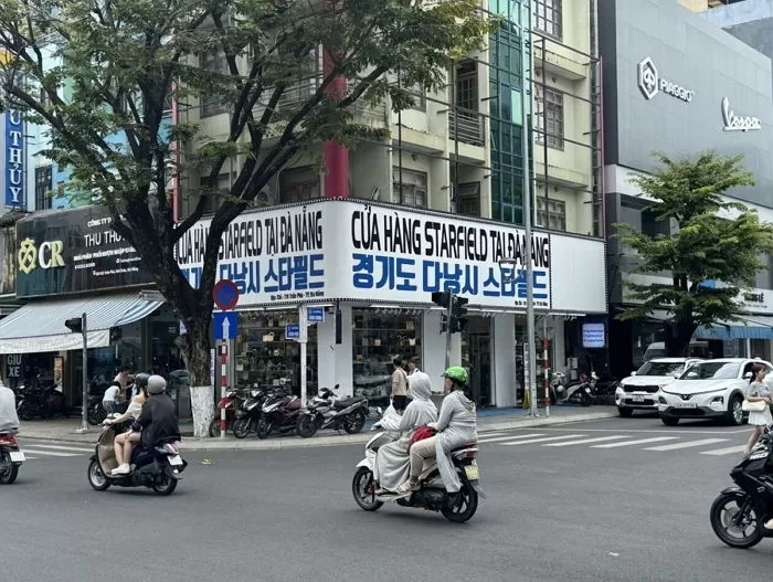 인사이트