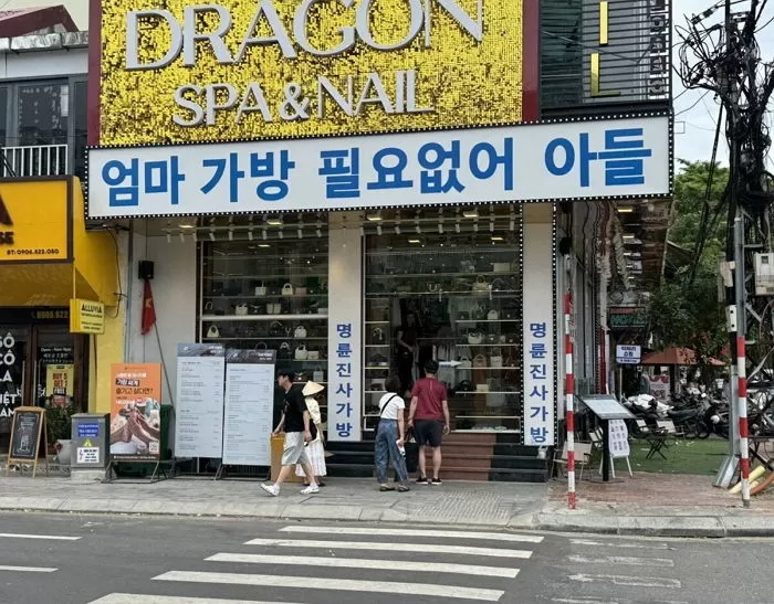 인사이트