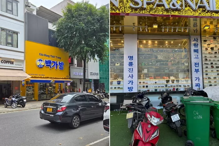 인사이트