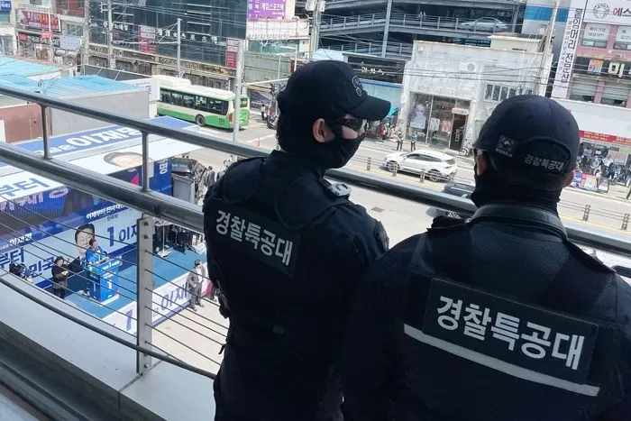 인사이트