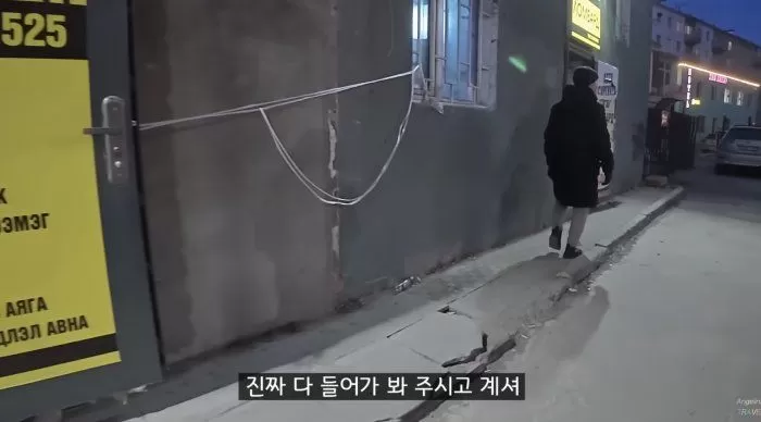 인사이트